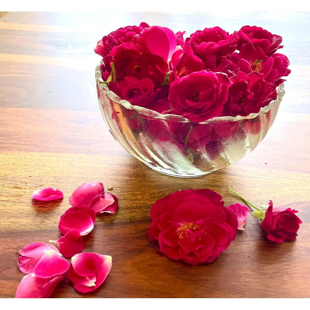 Fragrant Indian Rose (Desi Gulab) ,500 gram