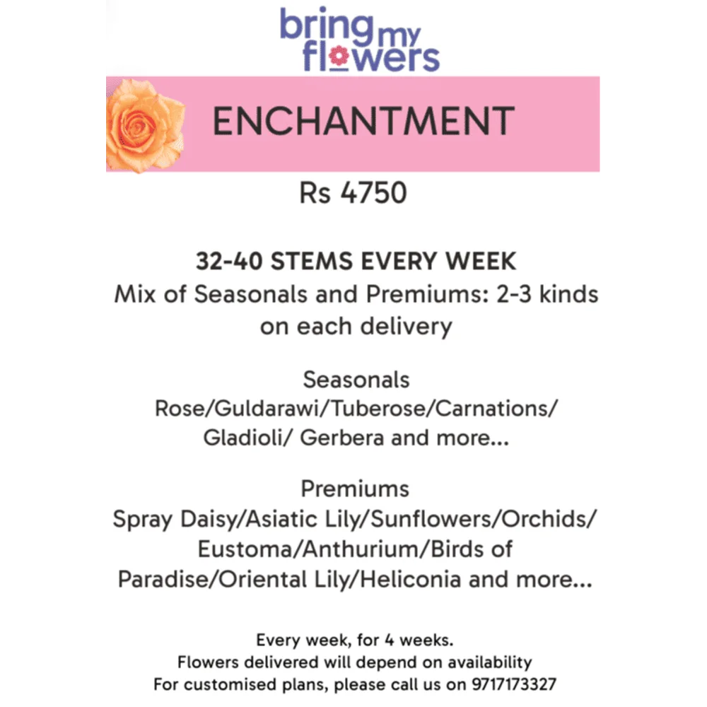 Enchantment- Weekly Flower Subscription
