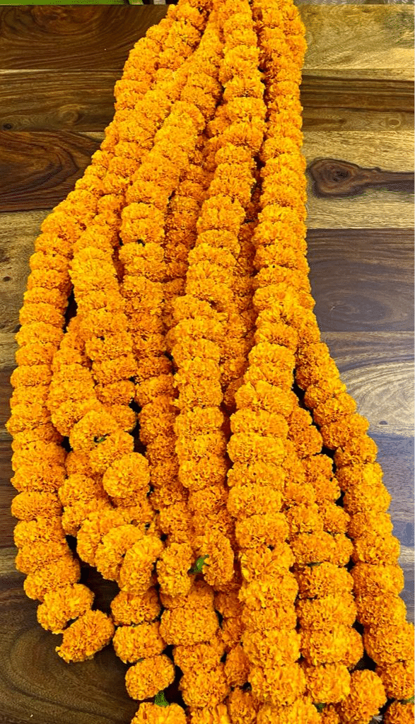 Calcutta Marigold Strings ,1 unit