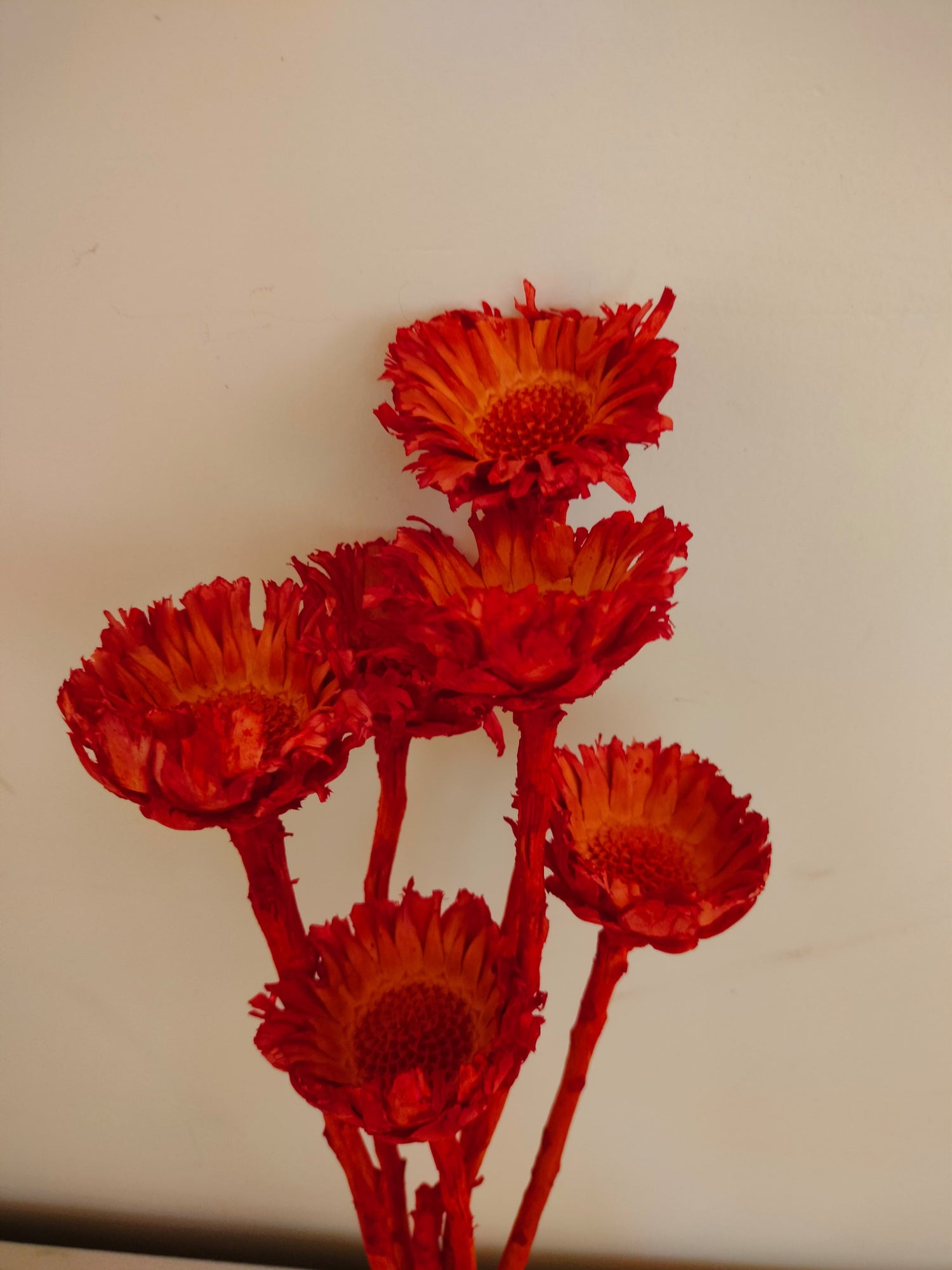 Forever Flowers