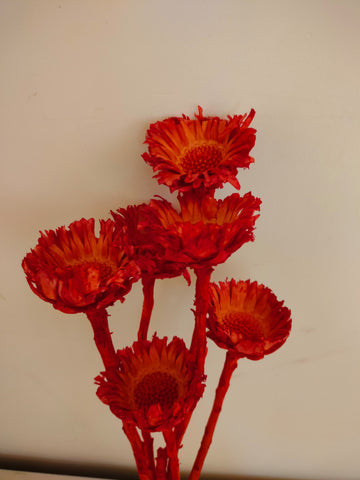 Forever Flowers
