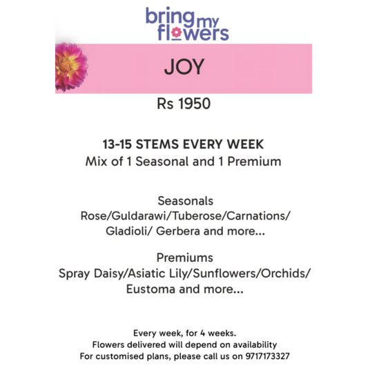 Joy- Weekly Flower Subscription