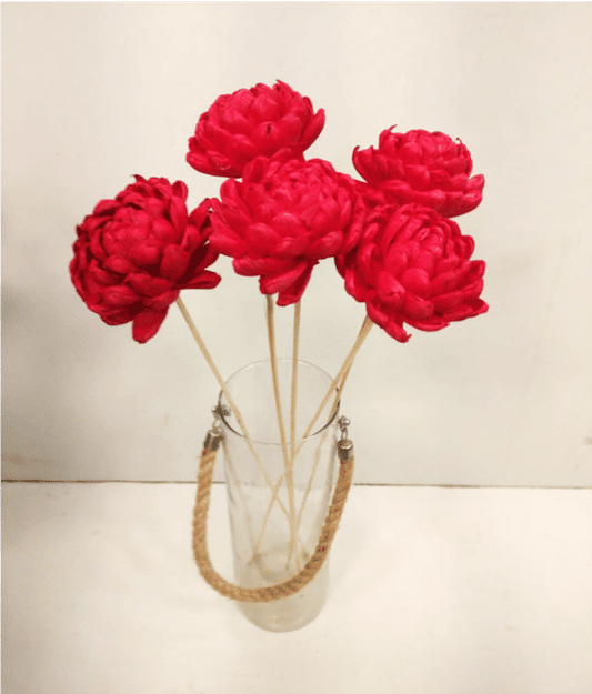 Shola Lotus - Image 1
