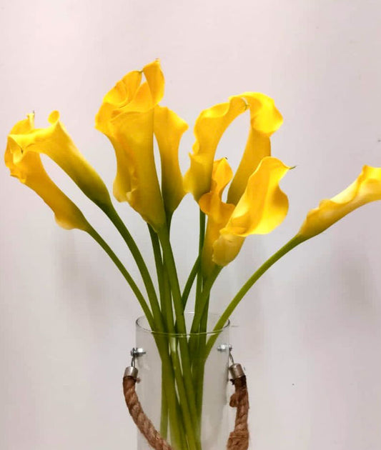 Calla Lily- 1 Stem - Image 1