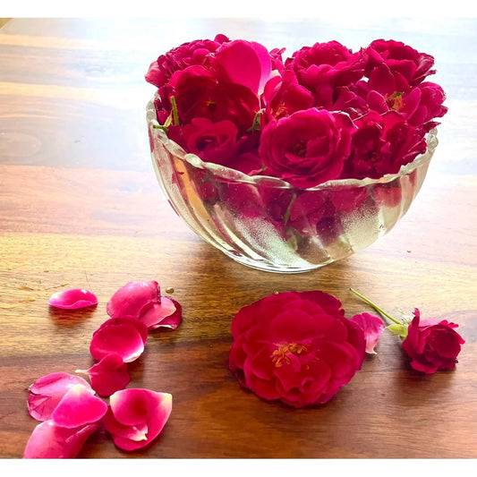 Fragrant Indian Rose (Desi Gulab) ,500 gram