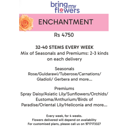 Enchantment- Weekly Flower Subscription
