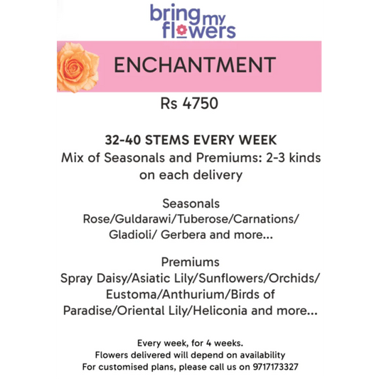 Enchantment- Weekly Flower Subscription