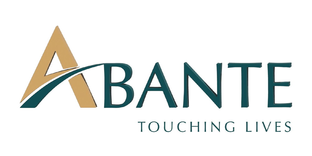 Publication Logo
