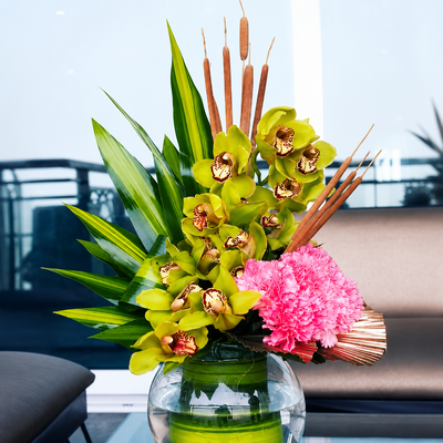 Orchid Oasis