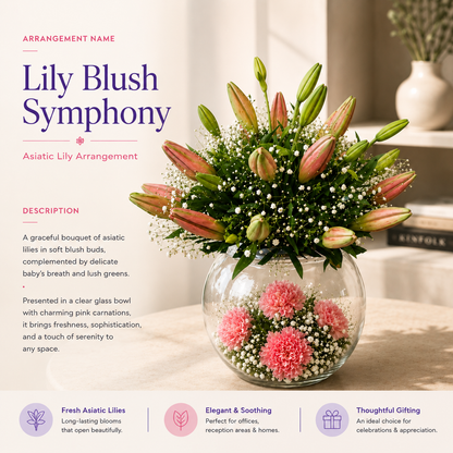 Lily Blush Symphony