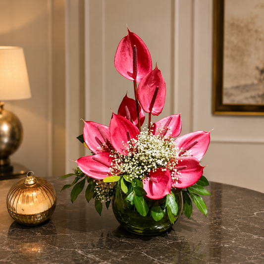Anthurium Allure