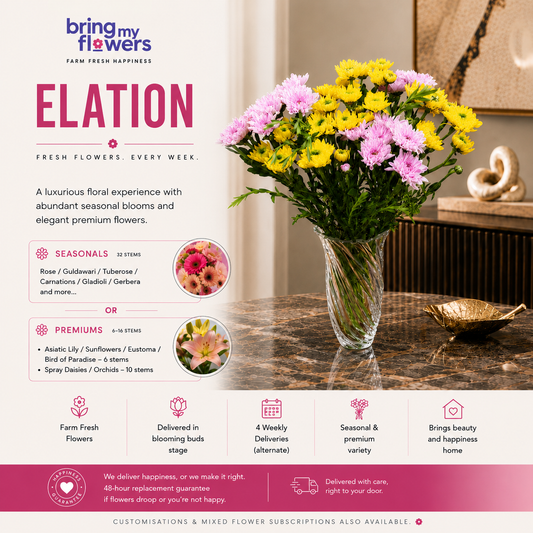 Elation: Fresh Flower Subscription