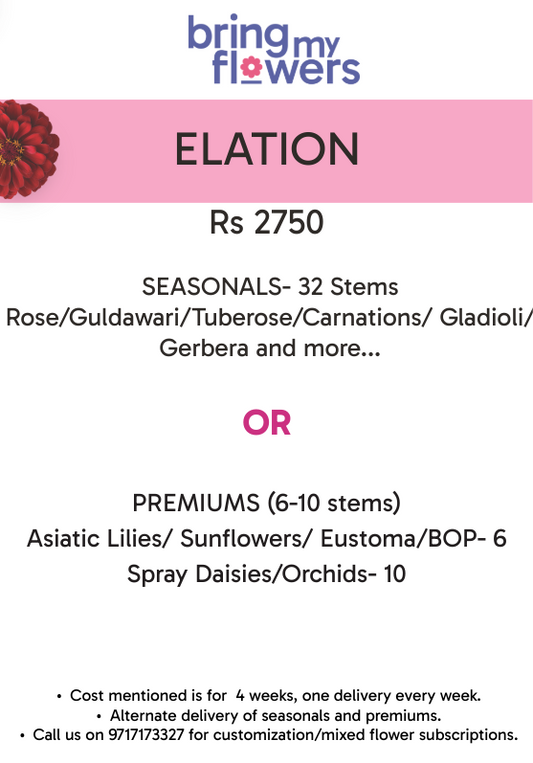 Elation- Weekly Flower Subscription