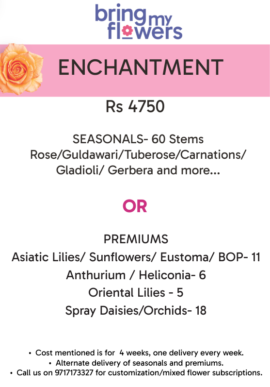 Enchantment- Weekly Flower Subscription