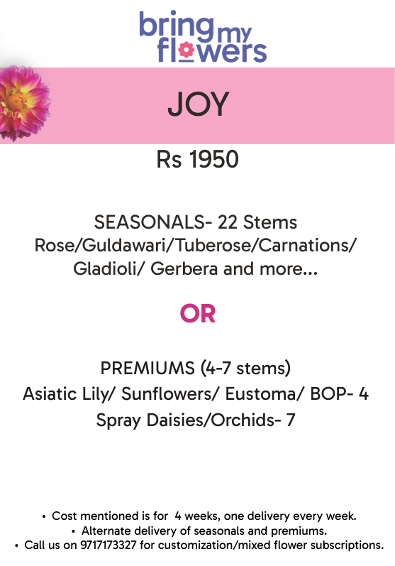 Joy- Weekly Flower Subscription