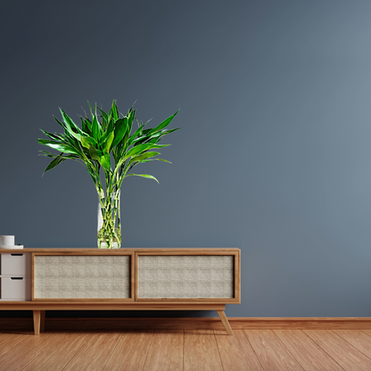 Straight Lucky Bamboo -10 Stems