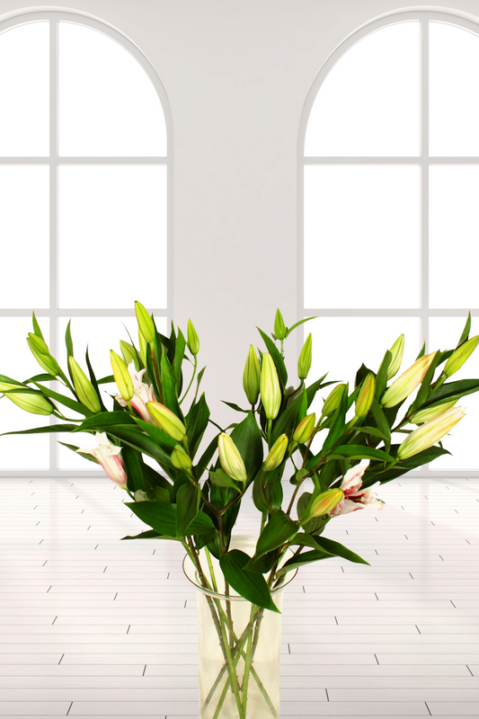 Fragrant Oriental Lily- One Stem