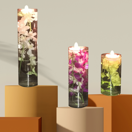 Orchid Delight- Set of 3