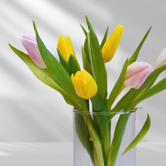 Tulips-8 stems