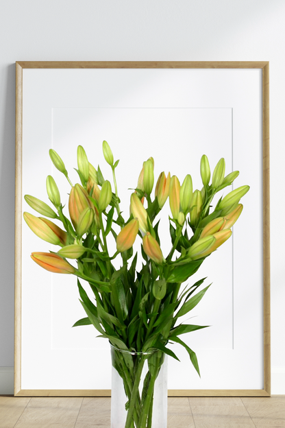 Asiatic Lily- One Stem