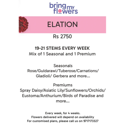 Elation- Weekly Flower Subscription