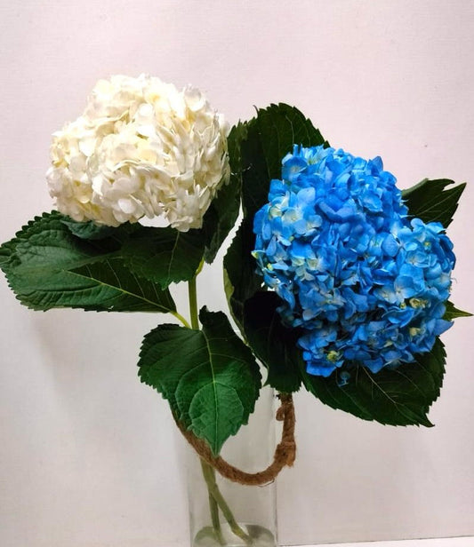 Hydrangea- 1 Stem - Image 1