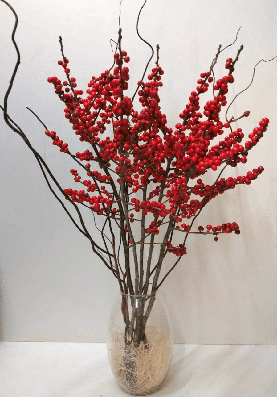Holly - Image 1