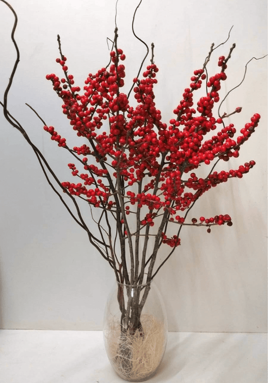 Holly - Image 1