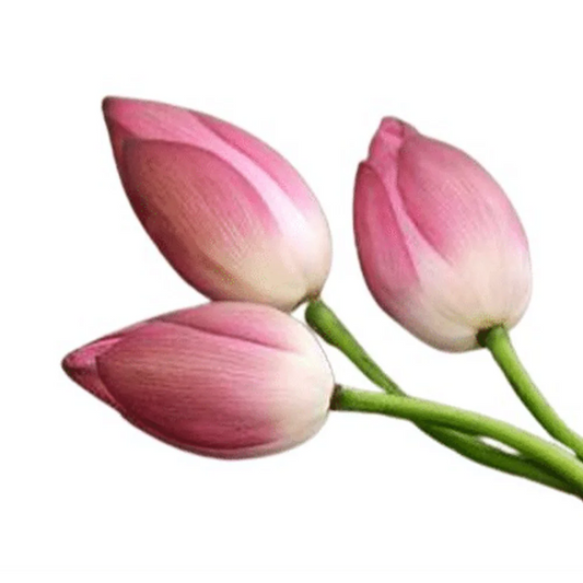 Lotus ,1 piece