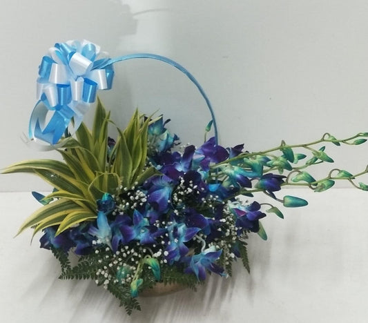 Sapphire - Image 1