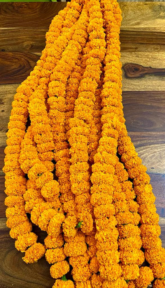 Calcutta Marigold Strings