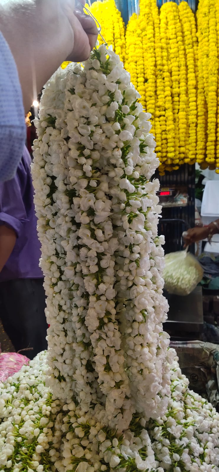 Fragrant Mogra Strings- 5